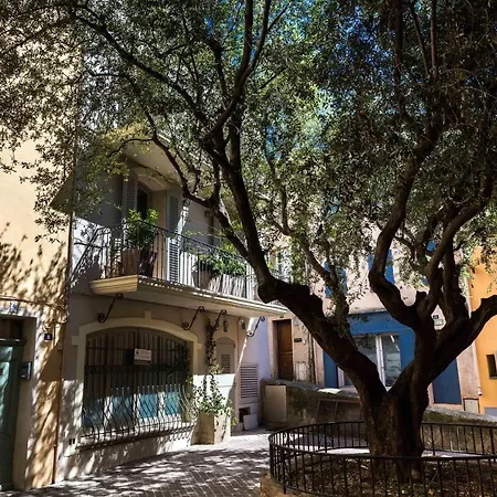 Vila Maison De L'ormeau Saint Tropez
